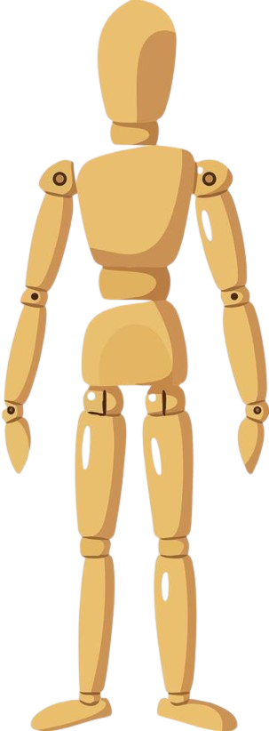Body map — front-facing figure
